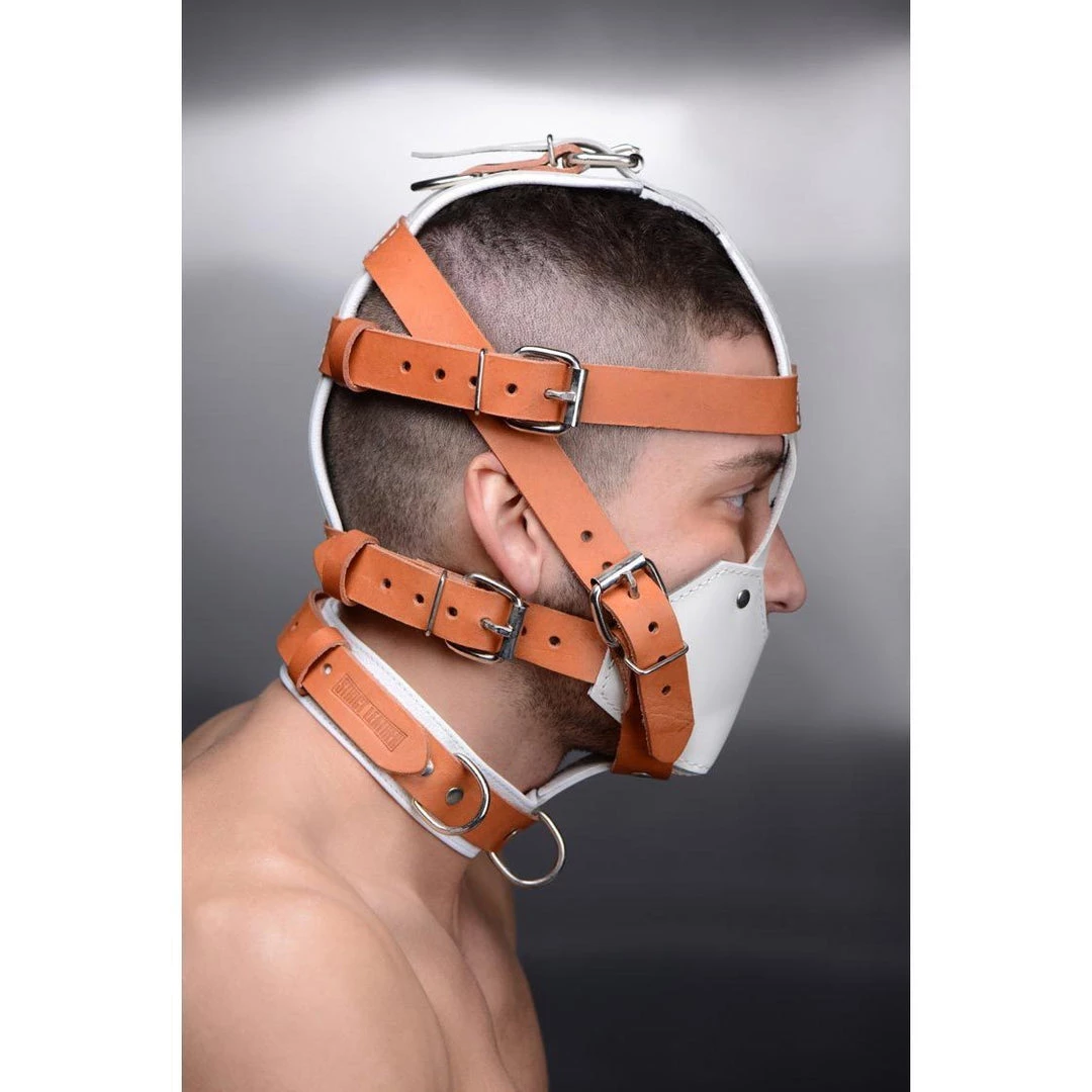 Vendor-unknown Hospital Style Leather Muzzle New Items 4 Vendor-unknown Hospital Style Leather Muzzle New Items