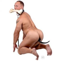 Vendor-unknown Bad Dog Spiked Collar And Leash Set