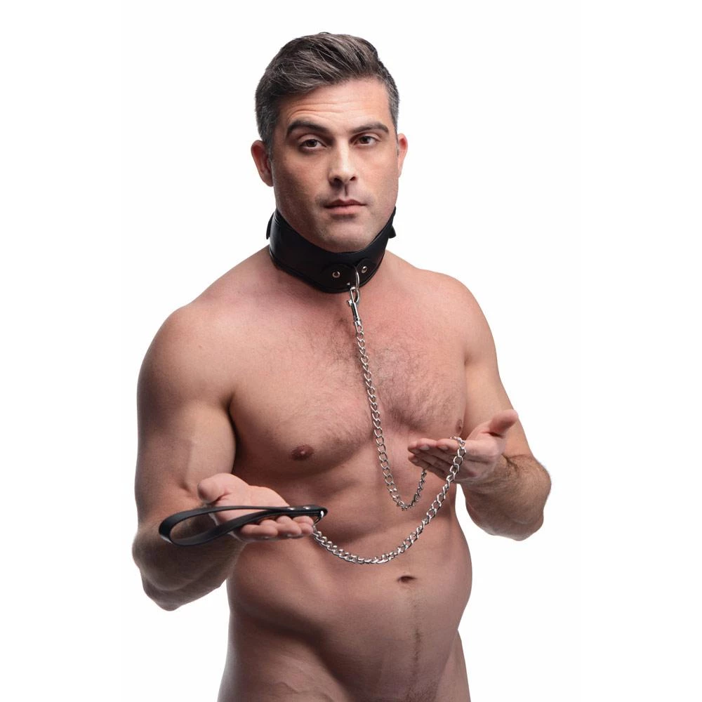 Vendor-unknown New Items Padded Locking Posture Collar 2 Vendor-unknown New Items Padded Locking Posture Collar