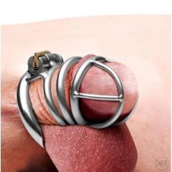 Vendor-unknown New Items The Pen Deluxe Stainless Steel Locking Chastity Cage