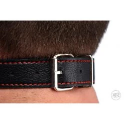 Vendor-unknown Silicone Bit Gag