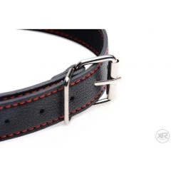 Vendor-unknown Silicone Bit Gag