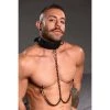 Boyzshop Collared Temptress Collar With Nipple Clamps