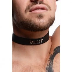 Vendor-unknown Leather Identification Collars