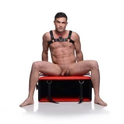 Boyzshop New Items The Kinging Chair