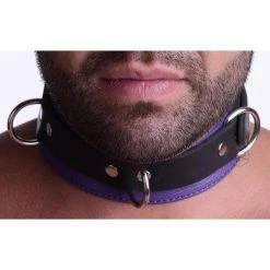 Vendor-unknown Strict Leather Black And Purple Deluxe Locking Collar New Items