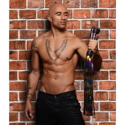 Vendor-unknown Strict Leather Rainbow Flogger