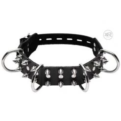 Vendor-unknown Bad Dog Spiked Collar And Leash Set