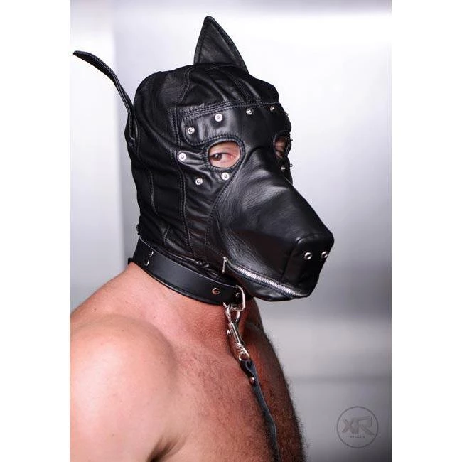 Vendor-unknown New Items Deluxe Puppy Play Kit 4 Vendor-unknown New Items Deluxe Puppy Play Kit