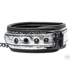 Vendor-unknown New Items Platinum Bound Collar And Chain Leash