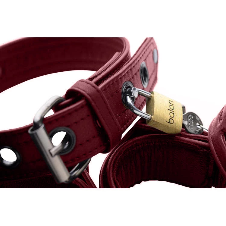 Vendor-unknown New Items Burgundy Premium Leather Collar And Cuffs 7 Vendor-unknown New Items Burgundy Premium Leather Collar And Cuffs