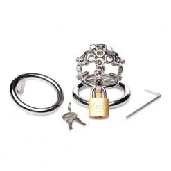 Boyzshop New Items Bolted Chastity Cage With Spikes