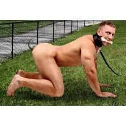 Vendor-unknown 3pc Intro To Puppy Play Kit