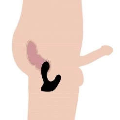 Boyzshop 10X P-Pulse Taint Tapping Silicone Prostate Stimulator With Remote New Items 11 Boyzshop 10X P-Pulse Taint Tapping Silicone Prostate Stimulator With Remote New Items