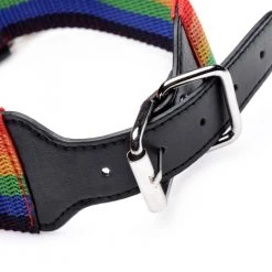 Boyzshop Kinky Pride Rainbow Bondage Set