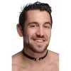 Boyzshop Sex Pet Leather Choker With Silver Ring New Items