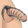 Boyzshop Stainless Steel Spiked Chastity Cage