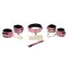 Boyzshop New Items Captive Cobra 6 Piece Bondage Set