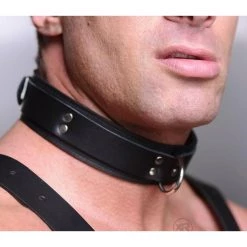 Vendor-unknown New Items Strict Leather Lightweight Lined Collar