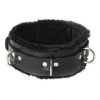 Vendor-unknown Strict Leather Premium Fur Lined Locking Collar New Items