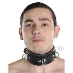 Vendor-unknown New Items Strict Leather Premium Locking Collar 5 Vendor-unknown New Items Strict Leather Premium Locking Collar