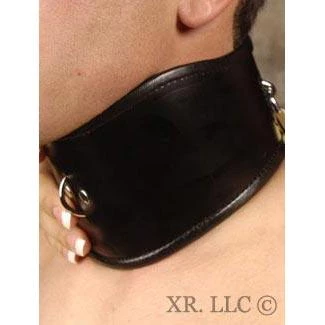 Vendor-unknown Leather Locking Posture Collar 1 Vendor-unknown Leather Locking Posture Collar